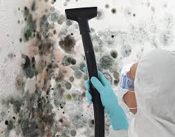 Best Real Estate Mold Inspection  in Auburn, IL